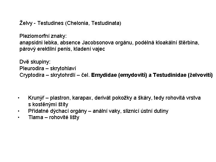 Želvy - Testudines (Chelonia, Testudinata) Pleziomorfní znaky: anapsidni lebka, absence Jacobsonova orgánu, podélná kloakální