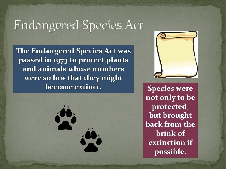 Endangered Species Act The Endangered Species Act was passed in 1973 to protect plants