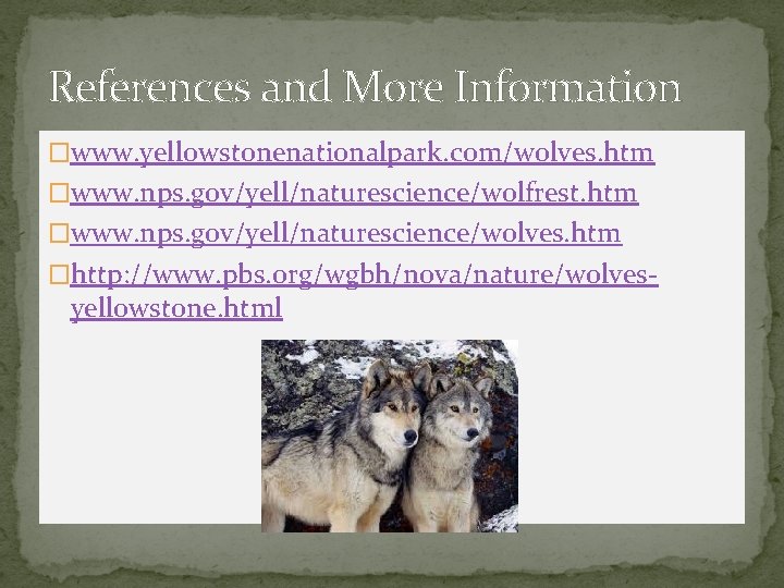 References and More Information �www. yellowstonenationalpark. com/wolves. htm �www. nps. gov/yell/naturescience/wolfrest. htm �www. nps.