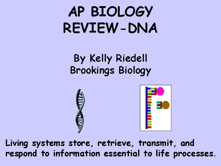 AP BIOLOGY REVIEW-DNA By Kelly Riedell Brookings Biology Living systems store, retrieve, transmit, and
