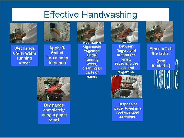 Effective Handwashing Wet hands under warm running water Apply 35 ml of liquid soap