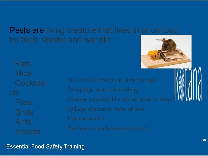 Pest Control Pests are living creature that lives in or on food for food,