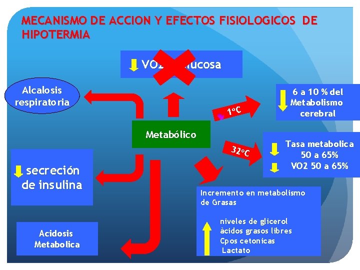 MECANISMO DE ACCION Y EFECTOS FISIOLOGICOS DE HIPOTERMIA VO 2 y Glucosa Alcalosis respiratoria