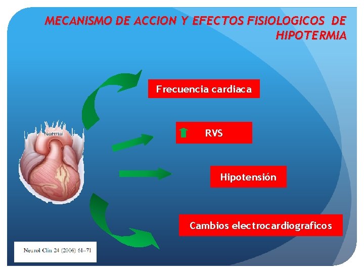 MECANISMO DE ACCION Y EFECTOS FISIOLOGICOS DE HIPOTERMIA Frecuencia cardiaca RVS Hipotensión Cambios electrocardiograficos