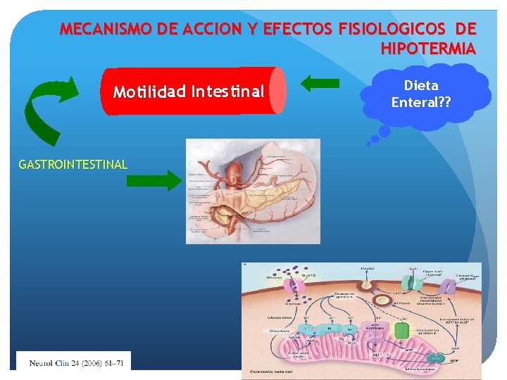 MECANISMO DE ACCION Y EFECTOS FISIOLOGICOS DE HIPOTERMIA Mo t i l i d