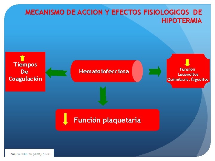 MECANISMO DE ACCION Y EFECTOS FISIOLOGICOS DE HIPOTERMIA Tiempos De Coagulación H e ma