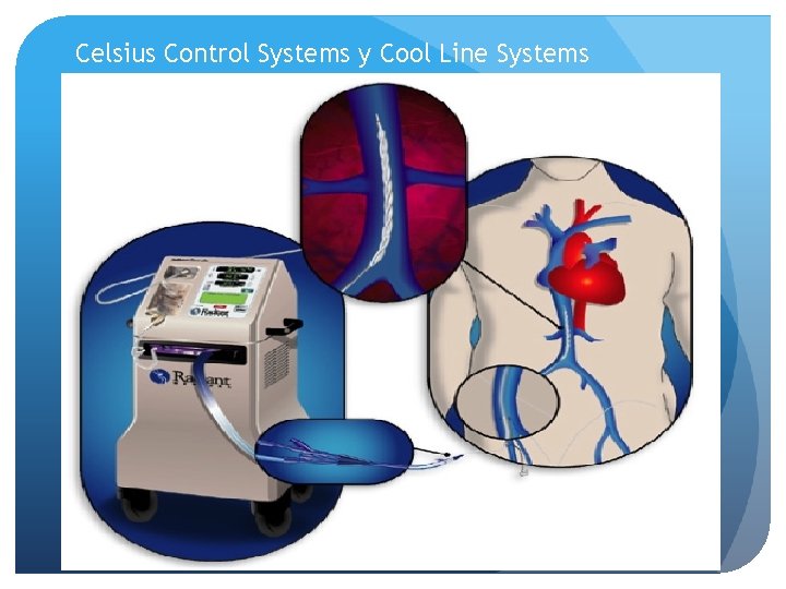 Celsius Control Systems y Cool Line Systems 