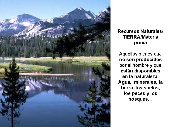 Recursos Naturales/ TIERRA/Materia prima Aquellos bienes que no son producidos por el hombre y