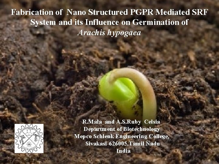 Fabrication of Nano Structured PGPR Mediated SRF System and its Influence on Germination of