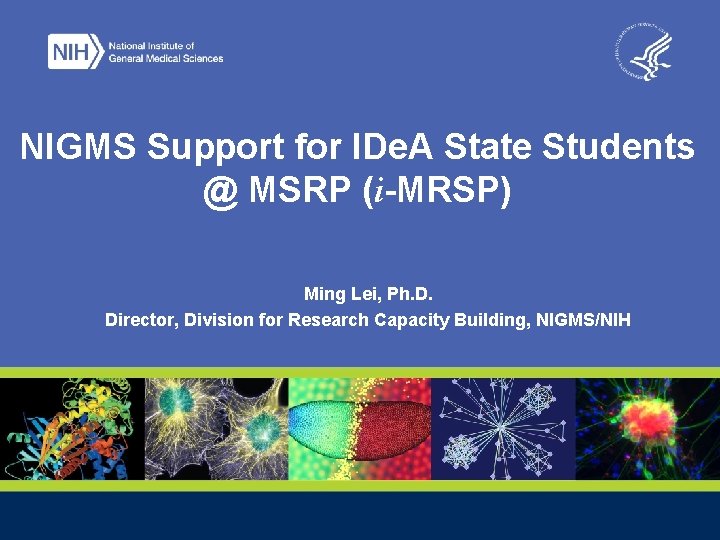 NIGMS Support for IDe. A State Students @ MSRP (i-MRSP) Ming Lei, Ph. D.