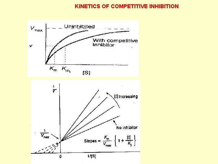 KINETICS OF COMPETITIVE INHIBITION 