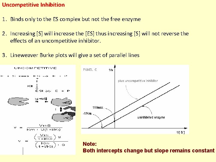 Uncompetitive Inhibition 1. Binds only to the ES complex but not the free enzyme