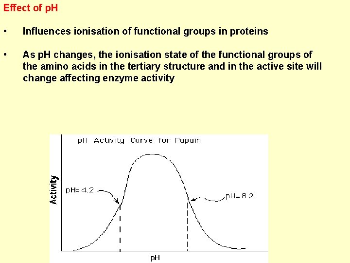 Effect of p. H • Influences ionisation of functional groups in proteins • As