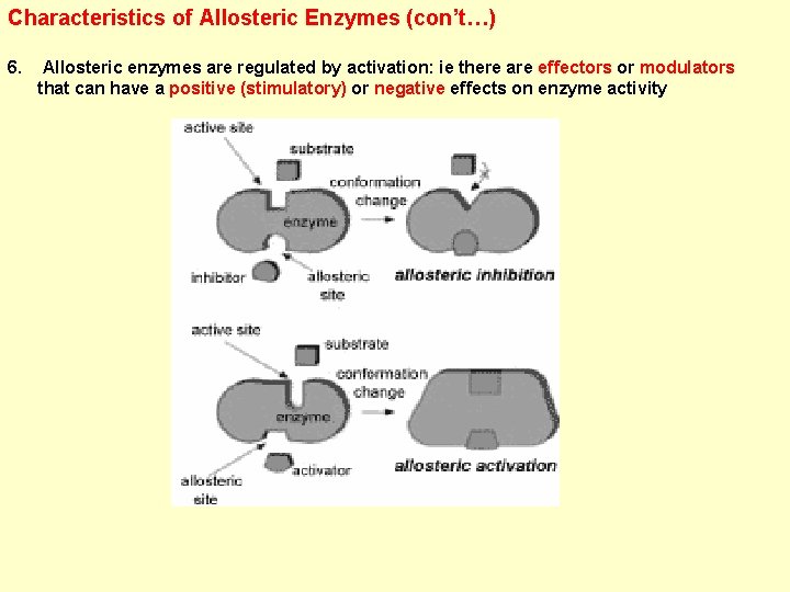Characteristics of Allosteric Enzymes (con’t…) 6. Allosteric enzymes are regulated by activation: ie there