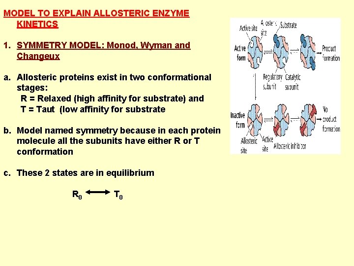MODEL TO EXPLAIN ALLOSTERIC ENZYME KINETICS 1. SYMMETRY MODEL: Monod, Wyman and Changeux a.