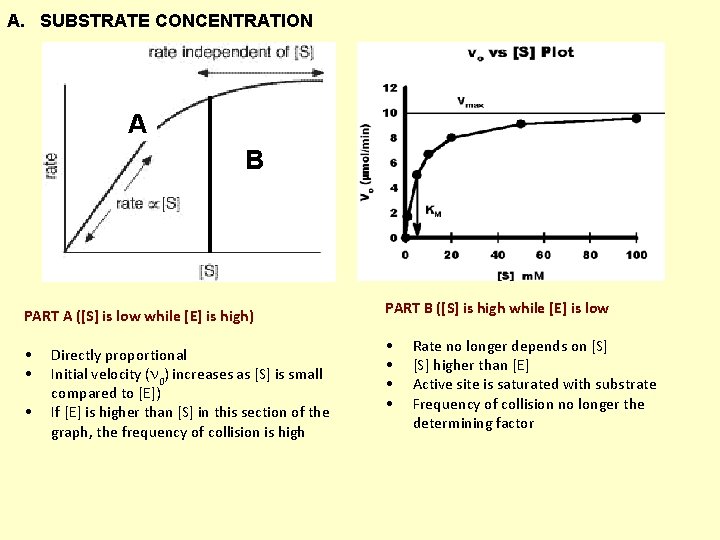 A. SUBSTRATE CONCENTRATION A B PART A ([S] is low while [E] is high)