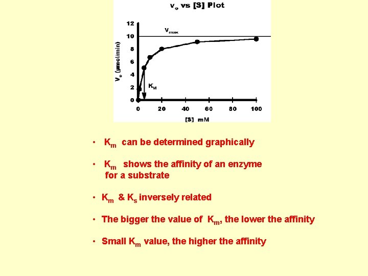  • Km can be determined graphically • Km shows the affinity of an