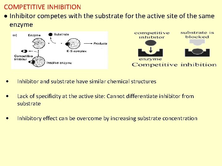COMPETITIVE INHIBITION Inhibitor competes with the substrate for the active site of the same