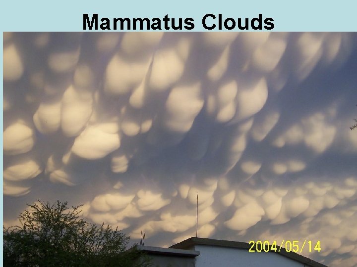 Mammatus Clouds 