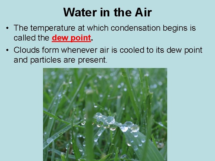 Water in the Air • The temperature at which condensation begins is called the