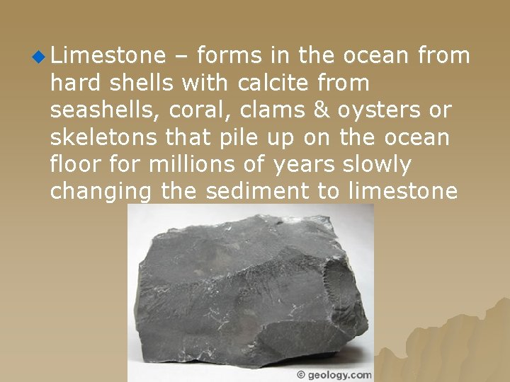 u Limestone – forms in the ocean from hard shells with calcite from seashells,