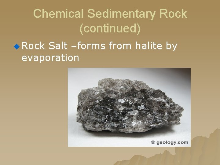 Chemical Sedimentary Rock (continued) u Rock Salt –forms from halite by evaporation 