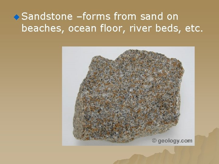 u Sandstone –forms from sand on beaches, ocean floor, river beds, etc. 