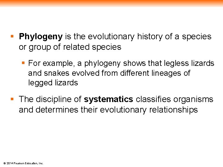 § Phylogeny is the evolutionary history of a species or group of related species