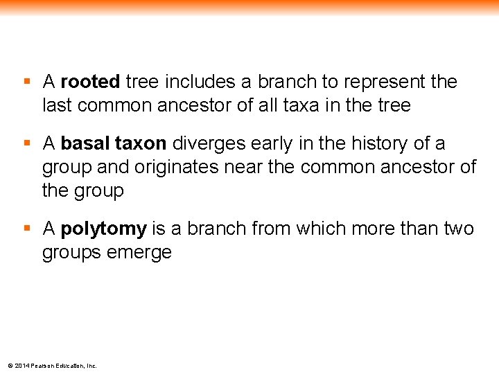 § A rooted tree includes a branch to represent the last common ancestor of