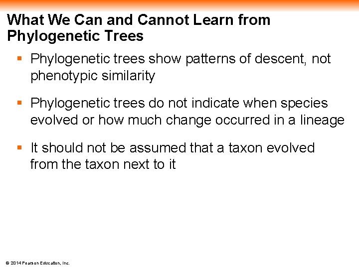 What We Can and Cannot Learn from Phylogenetic Trees § Phylogenetic trees show patterns