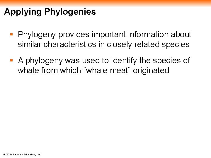 Applying Phylogenies § Phylogeny provides important information about similar characteristics in closely related species