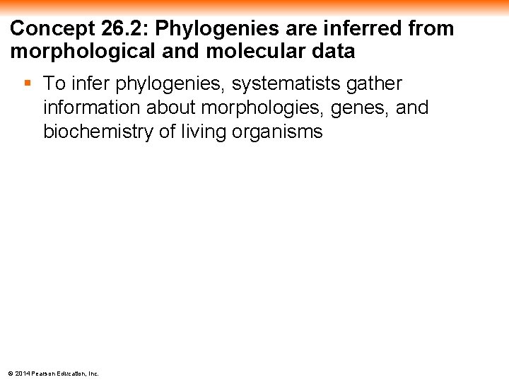 Concept 26. 2: Phylogenies are inferred from morphological and molecular data § To infer