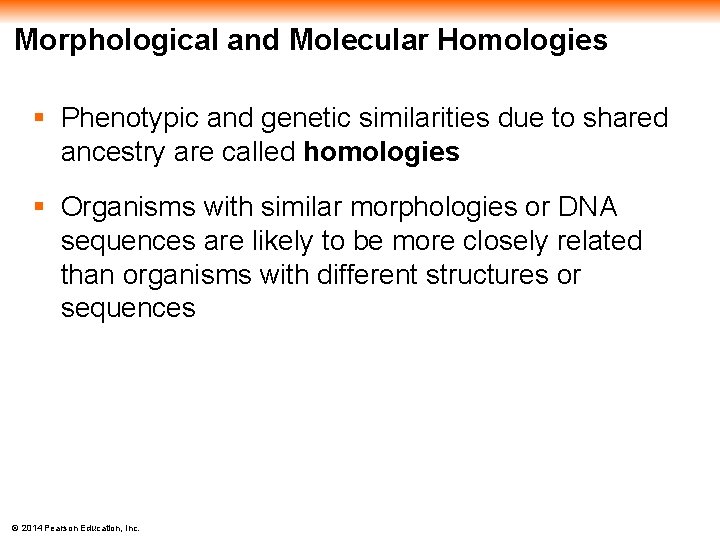 Morphological and Molecular Homologies § Phenotypic and genetic similarities due to shared ancestry are