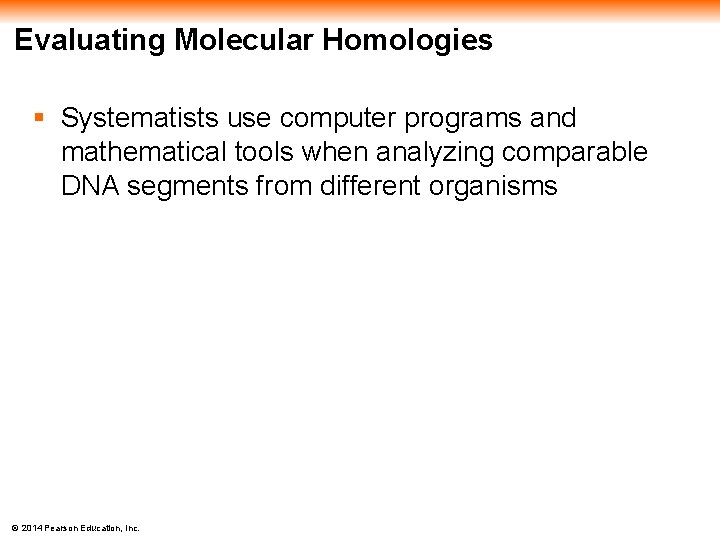 Evaluating Molecular Homologies § Systematists use computer programs and mathematical tools when analyzing comparable