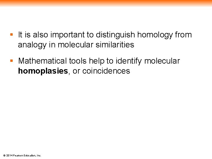 § It is also important to distinguish homology from analogy in molecular similarities §