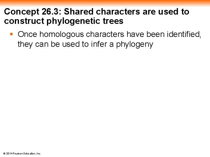 Concept 26. 3: Shared characters are used to construct phylogenetic trees § Once homologous