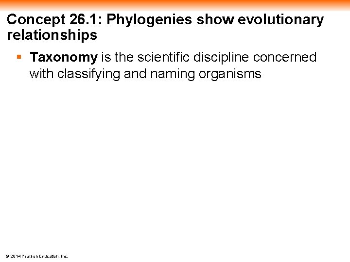 Concept 26. 1: Phylogenies show evolutionary relationships § Taxonomy is the scientific discipline concerned