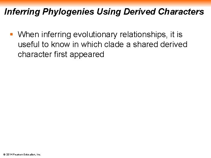 Inferring Phylogenies Using Derived Characters § When inferring evolutionary relationships, it is useful to