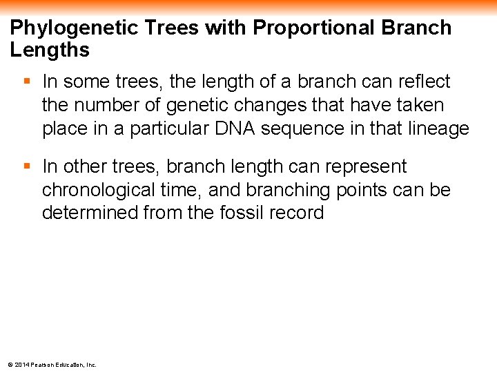 Phylogenetic Trees with Proportional Branch Lengths § In some trees, the length of a