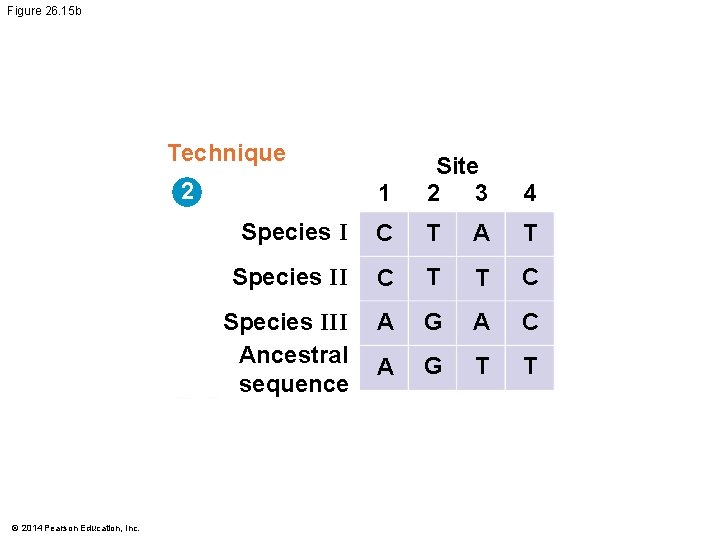 Figure 26. 15 b Technique 1 Site 3 2 4 Species I C T
