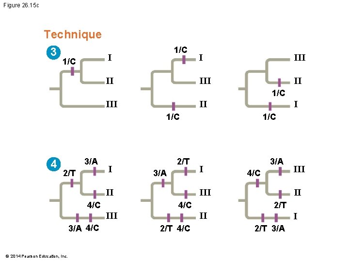 Figure 26. 15 c Technique 3 1/C II I III II 1/C II I