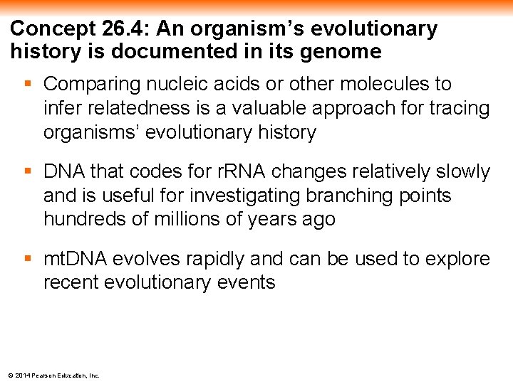 Concept 26. 4: An organism’s evolutionary history is documented in its genome § Comparing