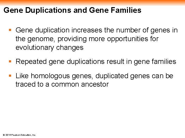 Gene Duplications and Gene Families § Gene duplication increases the number of genes in