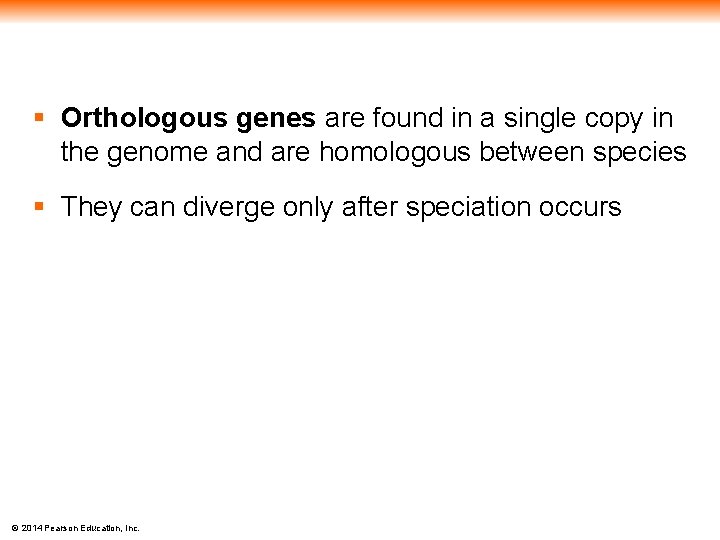 § Orthologous genes are found in a single copy in the genome and are
