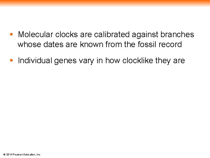 § Molecular clocks are calibrated against branches whose dates are known from the fossil