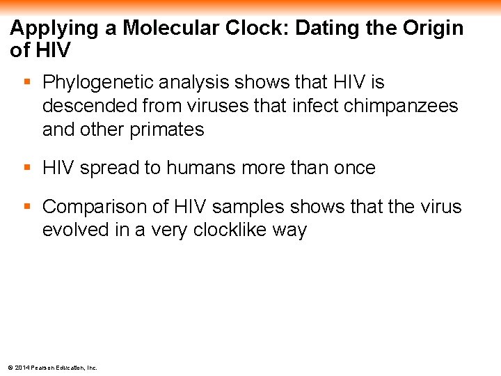 Applying a Molecular Clock: Dating the Origin of HIV § Phylogenetic analysis shows that