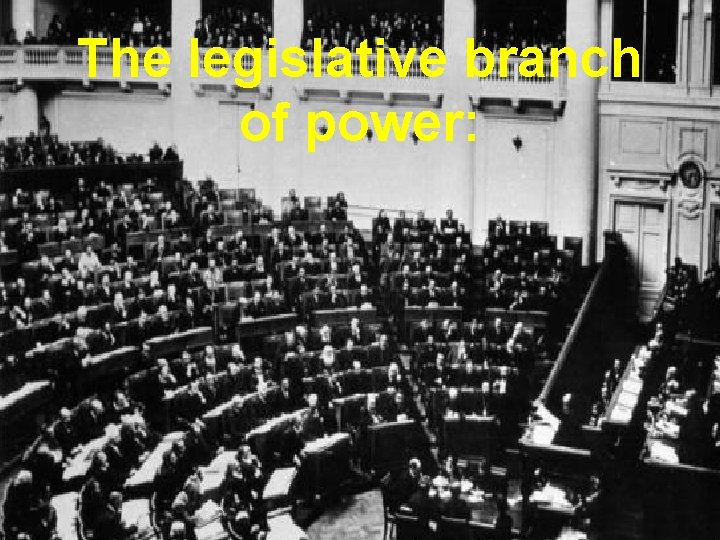 The legislative branch of power: 