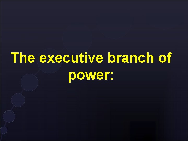 The executive branch of power: 