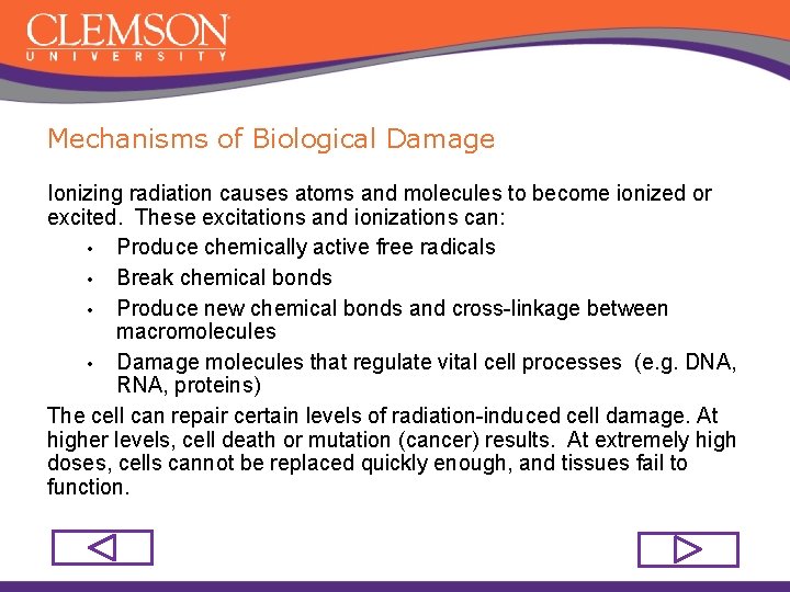 Mechanisms of Biological Damage Ionizing radiation causes atoms and molecules to become ionized or