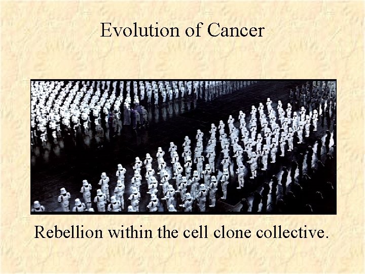 Evolution of Cancer Rebellion within the cell clone collective. 